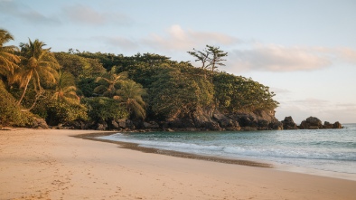 coopers beach