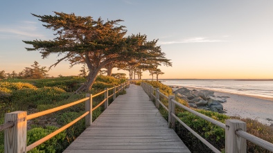 fire island national seashore